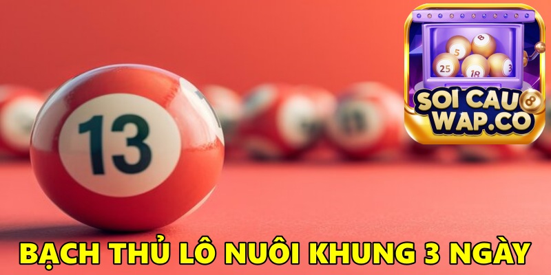 Hướng Dẫn Cách Nuôi Bạch Thủ Lô Nuôi Khung 3 Ngày Hiệu Quả