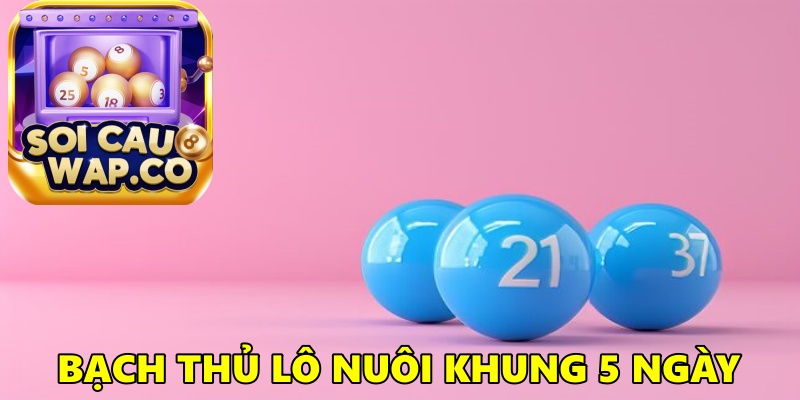 Bạch Thủ Lô Nuôi Khung 5 Ngày: Bí Quyết Không Thể Bỏ Qua