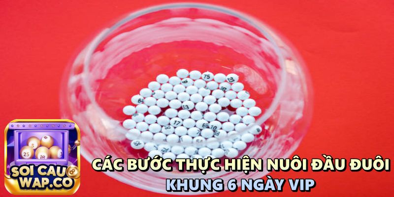 Nuôi Đầu Đuôi Khung 6 Ngày Vip: Hướng Dẫn Chi Tiết Dành Cho Người Mới