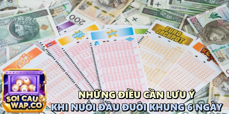 Nuôi Đầu Đuôi Khung 6 Ngày Vip: Hướng Dẫn Chi Tiết Dành Cho Người Mới