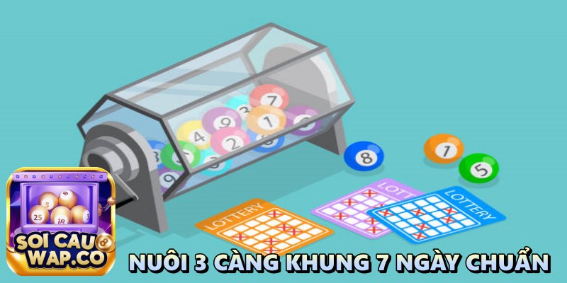 Nuôi 3 Càng Khung 7 Ngày Chuẩn: Chiến Lược Hay Dành Cho Dân Chơi Lô Đề