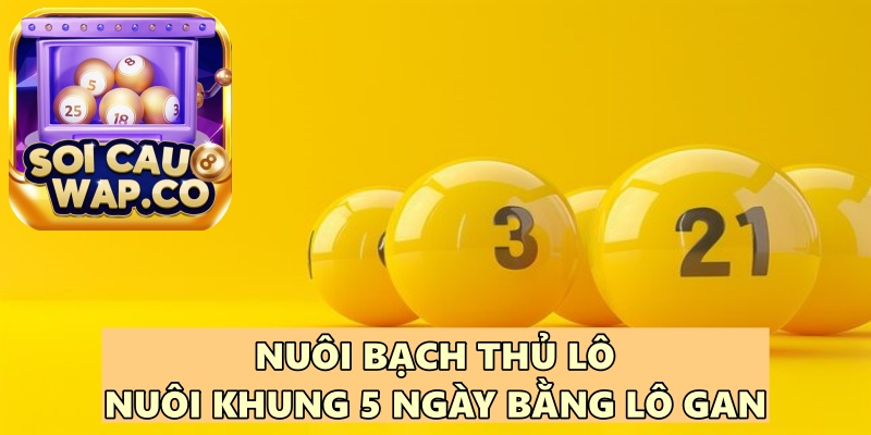 Bạch Thủ Lô Nuôi Khung 5 Ngày: Bí Quyết Không Thể Bỏ Qua