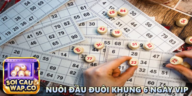 Nuôi Đầu Đuôi Khung 6 Ngày Vip: Hướng Dẫn Chi Tiết Dành Cho Người Mới