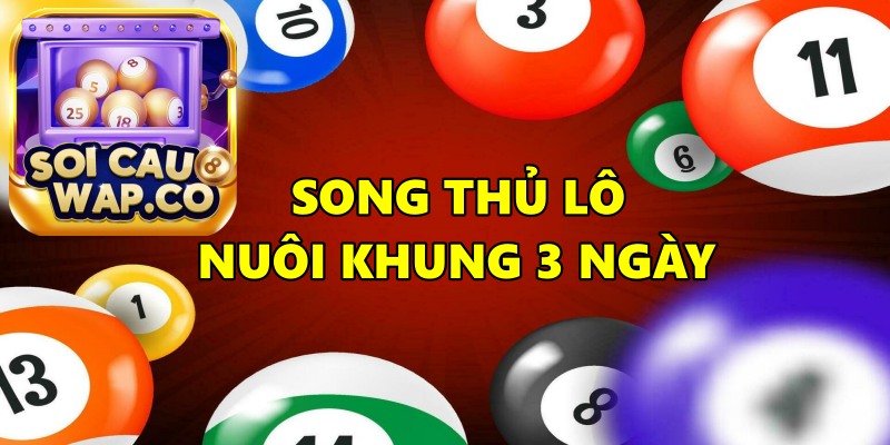 Song Thủ Lô Nuôi Khung 3 Ngày - Bí Quyết Giúp Ăn Thông