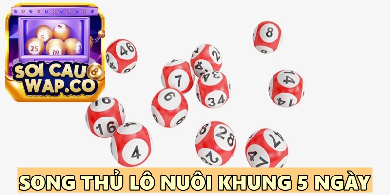 Song Thủ Lô Nuôi Khung 5 Ngày Chuẩn Từ Cao Thủ Hàng Đầu