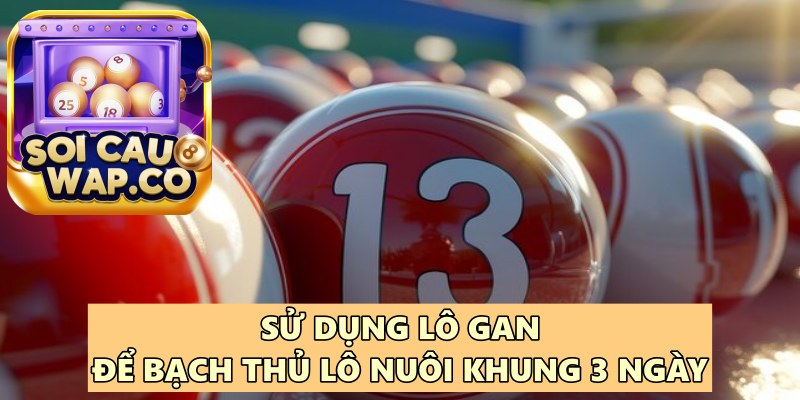 Hướng Dẫn Cách Nuôi Bạch Thủ Lô Nuôi Khung 3 Ngày Hiệu Quả