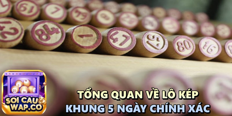 Lô Kép Khung 5 Ngày Chính Xác: Cách Nuôi Bộ Lô Phát Lộc