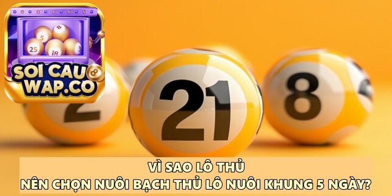 Bạch Thủ Lô Nuôi Khung 5 Ngày: Bí Quyết Không Thể Bỏ Qua