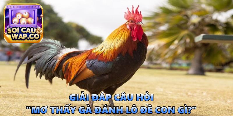 Mơ Thấy Gà Đánh Lô Đề Con Gì: Bí Ẩn Đằng Sau Giấc Mơ