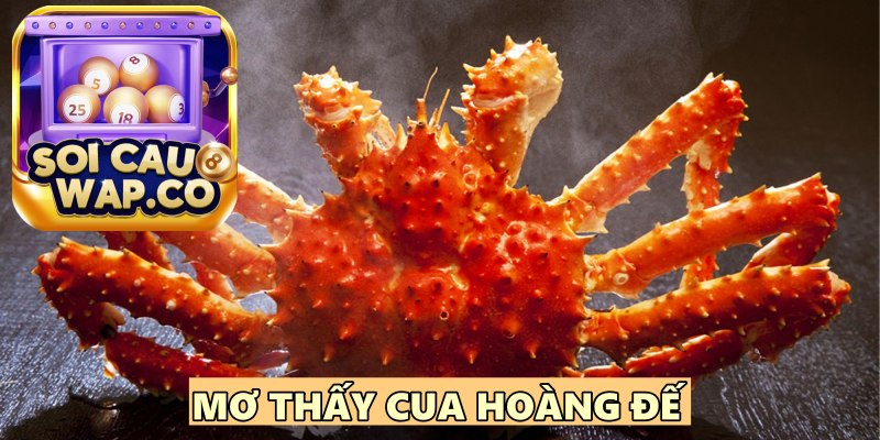 Mơ Thấy Cua Đánh Lô Đề Con Gì? Khám Phá Điềm Báo Giấc Mơ