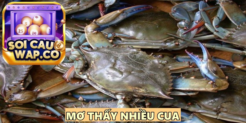 Mơ Thấy Cua Đánh Lô Đề Con Gì? Khám Phá Điềm Báo Giấc Mơ